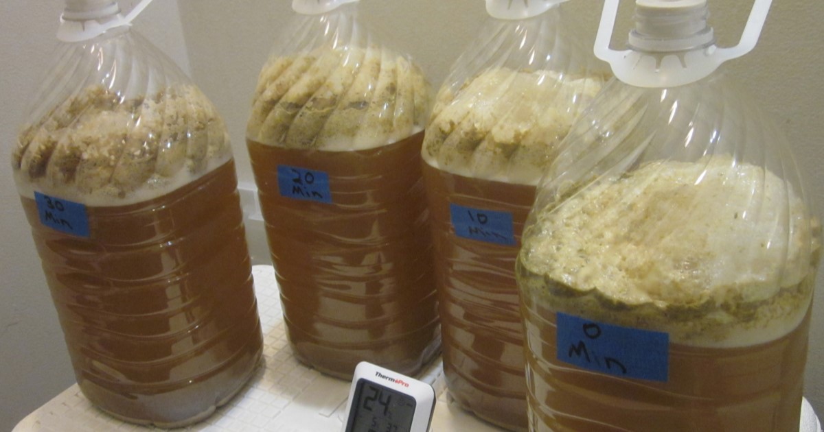 Fermenting hop addition timings