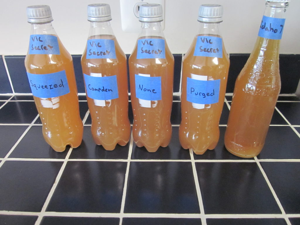 4 Bottles on Day 5