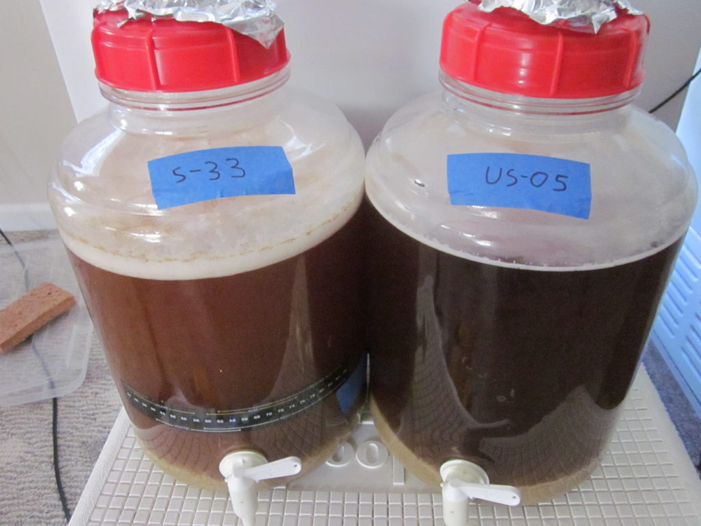 Fermenters with S-33 and US-05 Beers