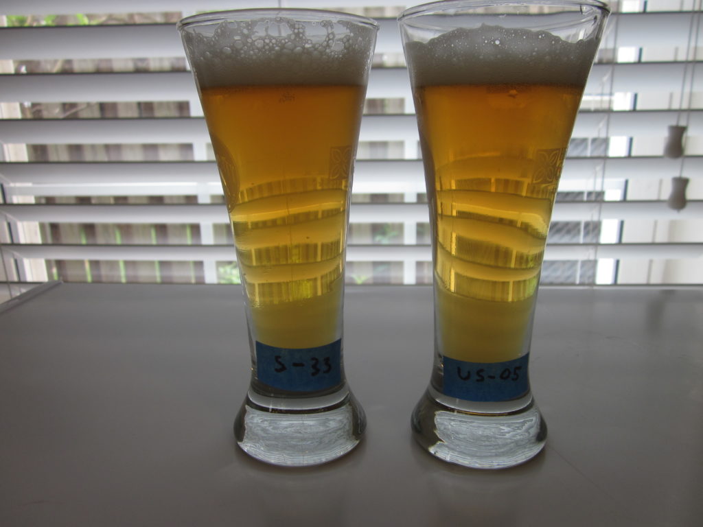 Glasses of S-33 and US-05 Pale Ales