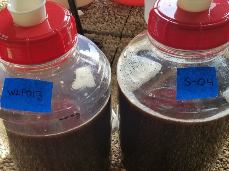 Two fermenters with different yeasts