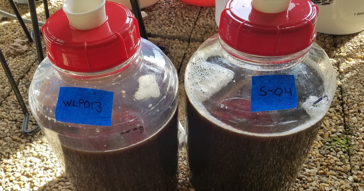 Two fermenters with different yeasts