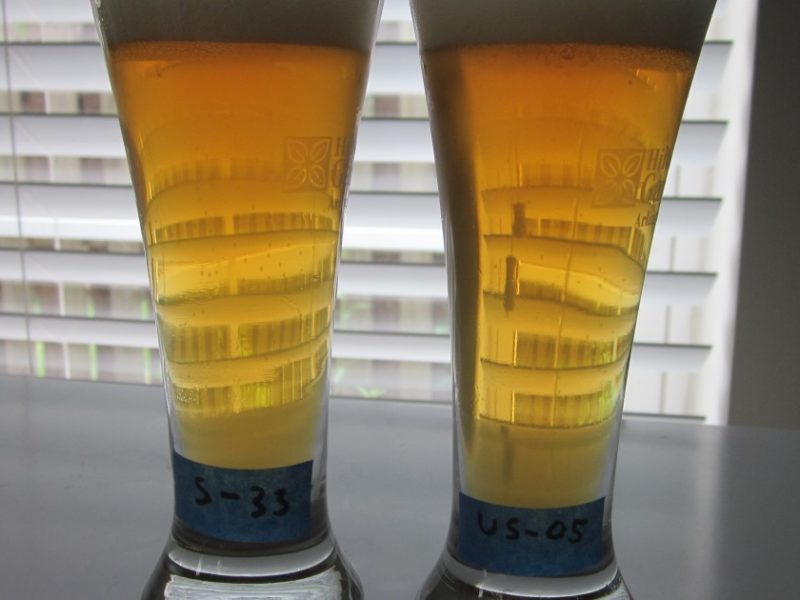 US-05 and S-33 Glasses