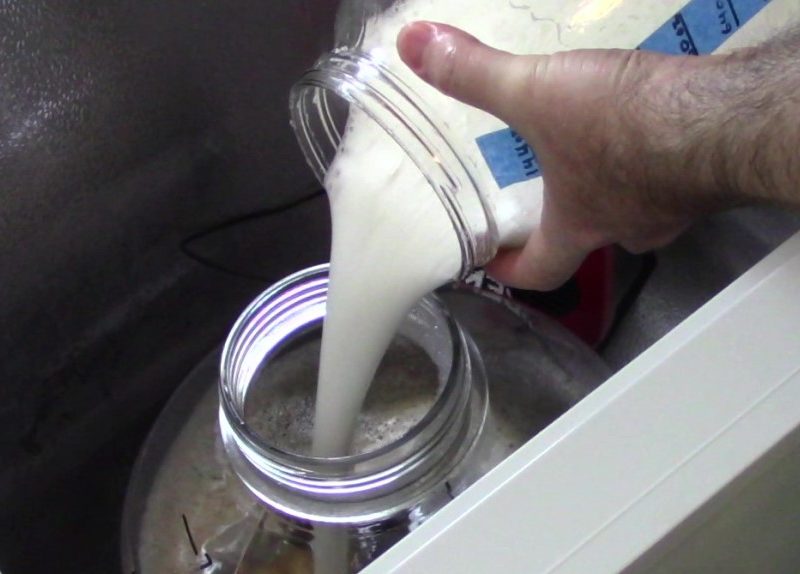 Pouring Yeast Starter