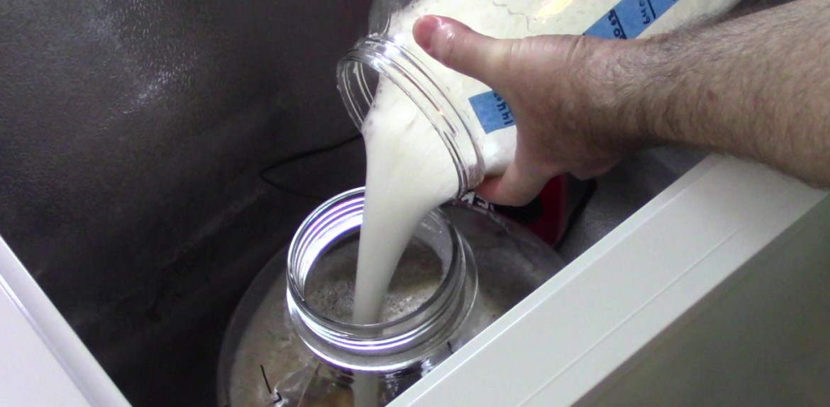 Pouring Yeast Starter