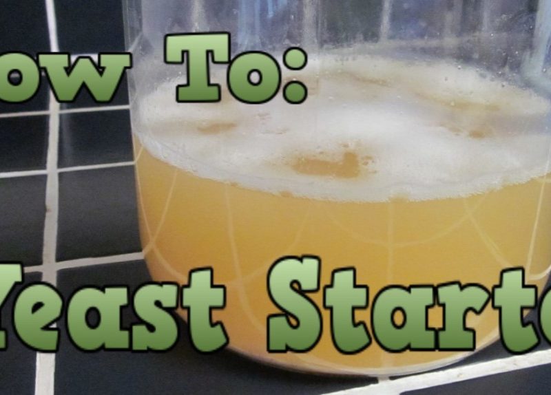 How To Yeast Starter